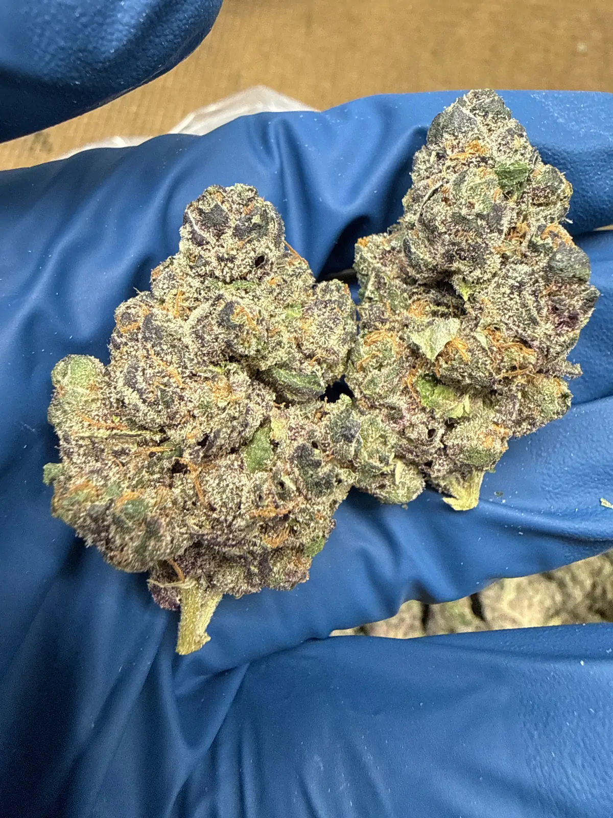 Runtz Flower